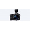 Sony RX10 IV with 0.03s. AF/25x optical zoom